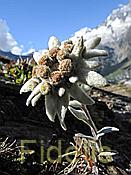 Nikon Z6 Nikkor 80-400mm